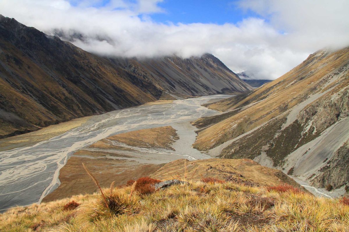 Vadászutak Új-Zéland