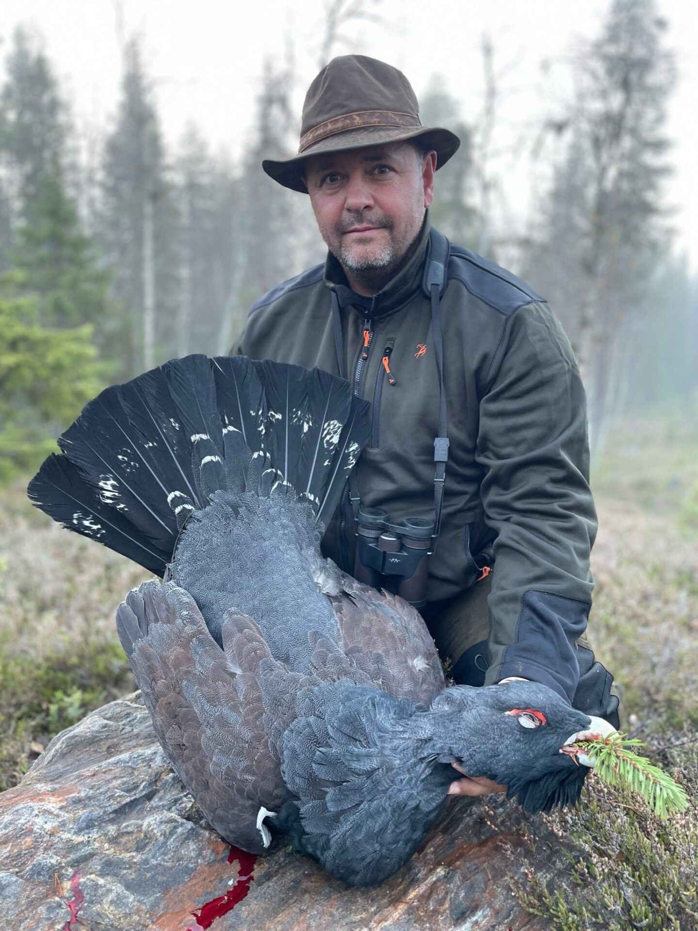 Svédország vadászat