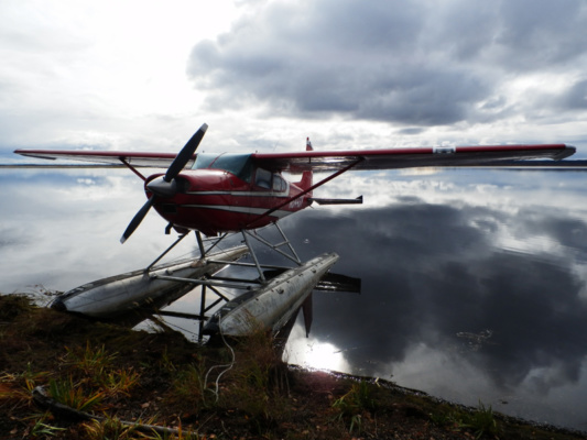 Alaszka jávorszarvas vadászat