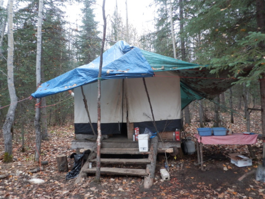 Alaszka jávorszarvas vadászat