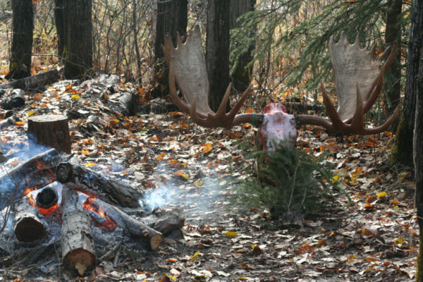 Alaszka jávorszarvas vadászat