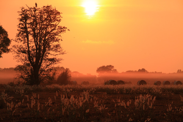 Ausztrália vadászat