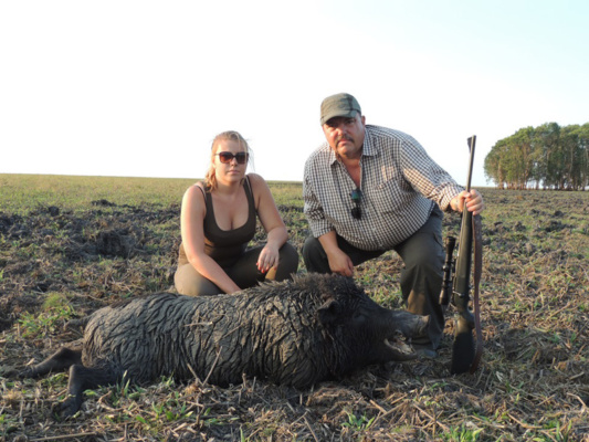 Ausztrália - vaddisznó vadászat