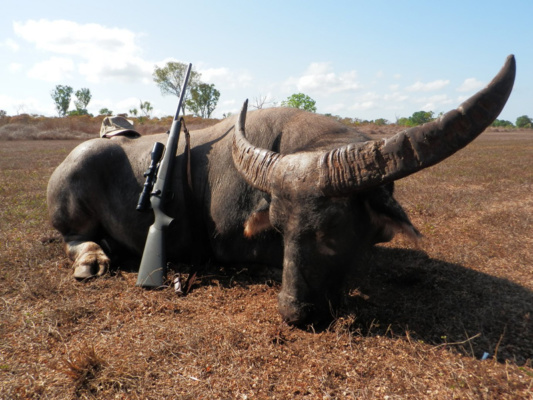 Ausztrália vízibivaly vadászat