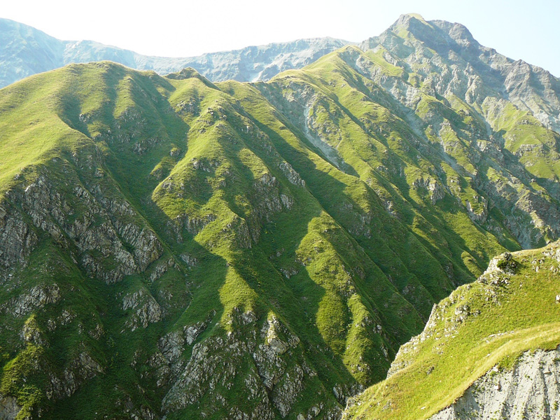 Vadászutak