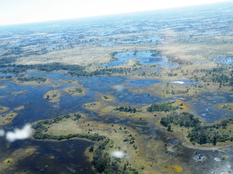 Vadászutak
