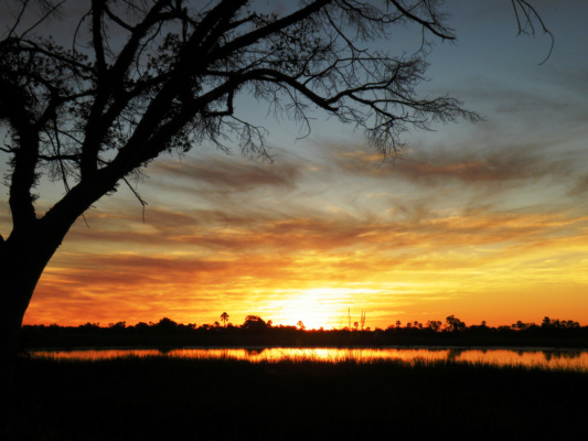 Botswana vadászat