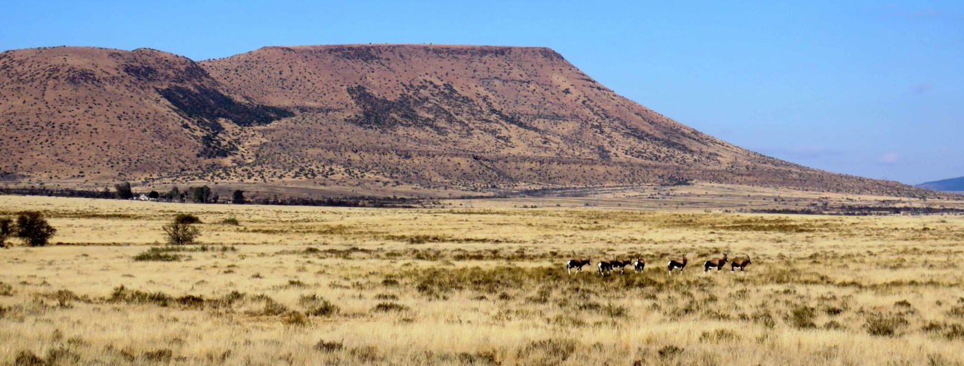 Dél-Afrika vadászat