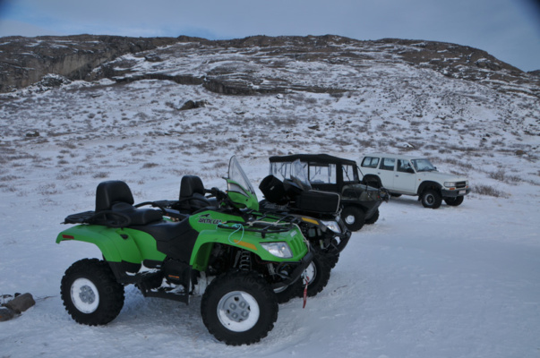 Grönland pézsmatulok vadászat