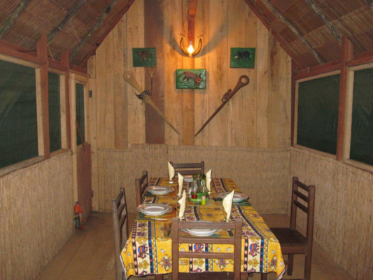 Kamerun bongó és szitatunga vadászat