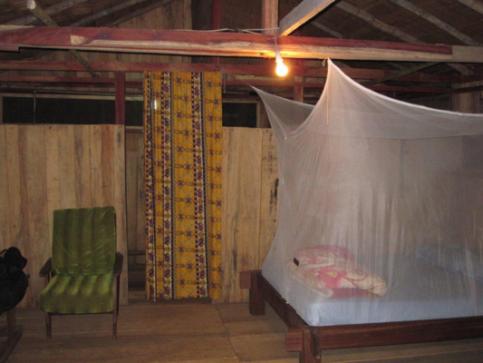 Kamerun bongó és szitatunga vadászat