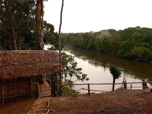 Kamerun bongó és szitatunga vadászat