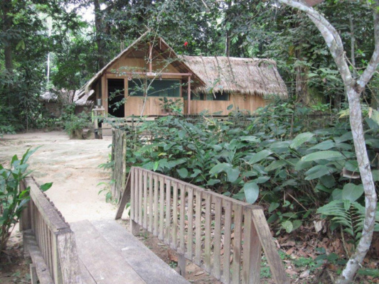 Kamerun bongó és szitatunga vadászat