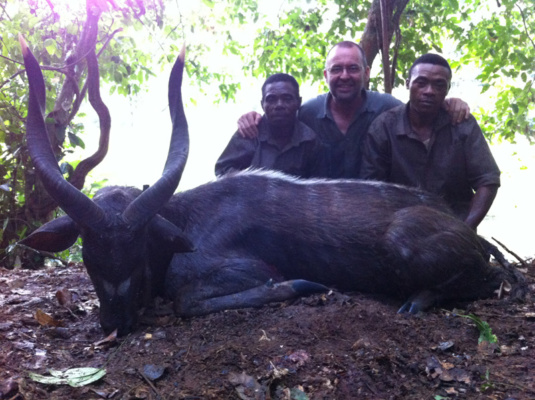 Kamerun bongó és szitatunga vadászat