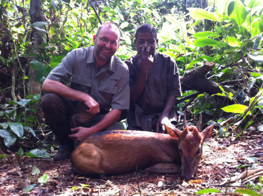 Kamerun bongó és szitatunga vadászat