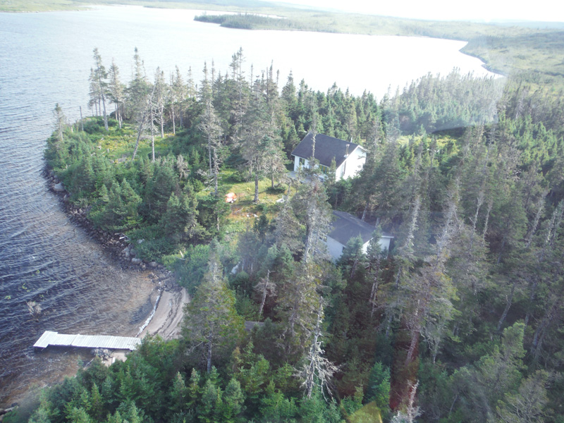 Vadászutak