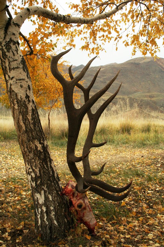 Kazahsztán vadászat