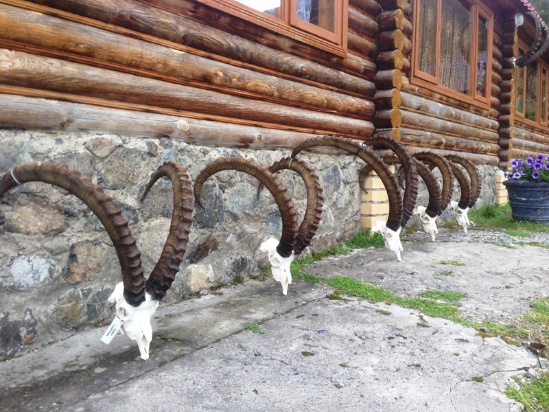 Kazahsztán vadászat