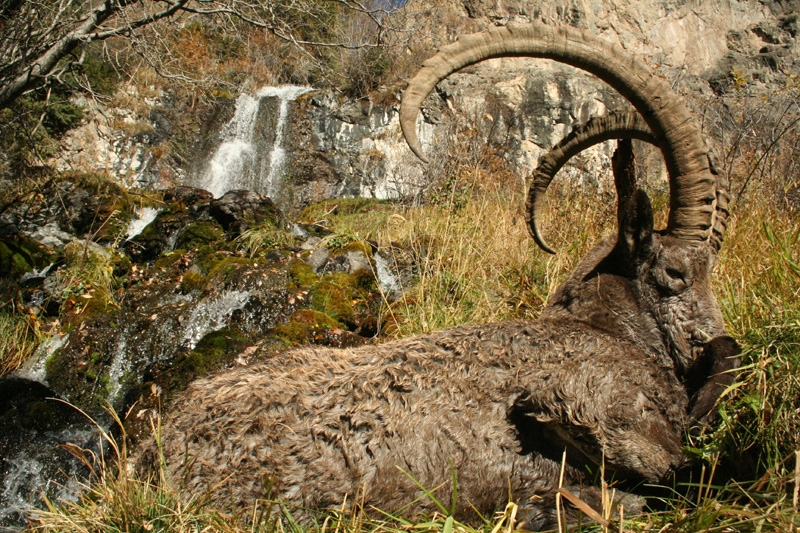 Kazahsztán vadászat