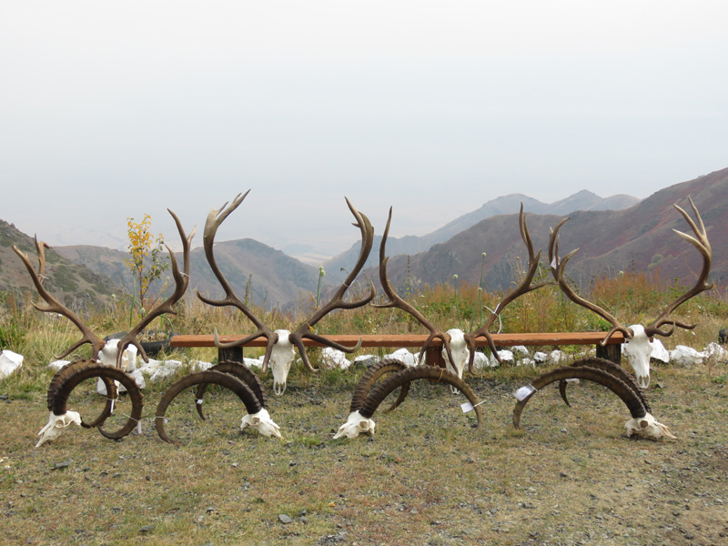 Kazahsztán vadászat