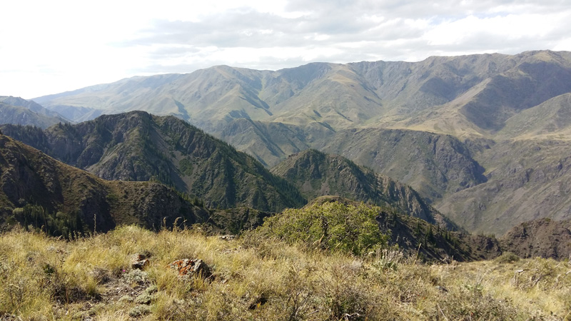 Kazahsztán vadászat