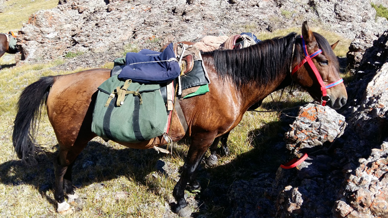 Kazahsztán vadászat