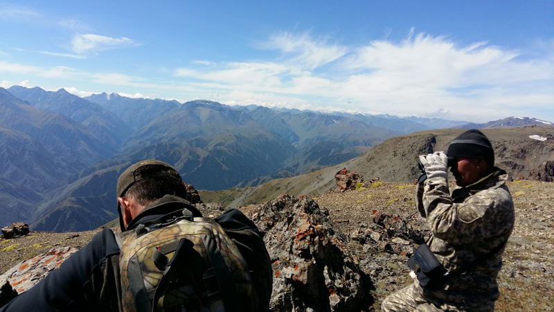 Kazahsztán vadászat