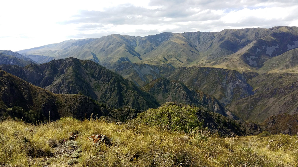 vadászat Kazahsztánban