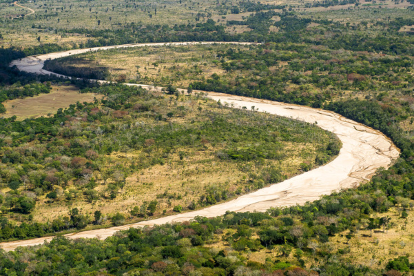 Mozambik vadászat