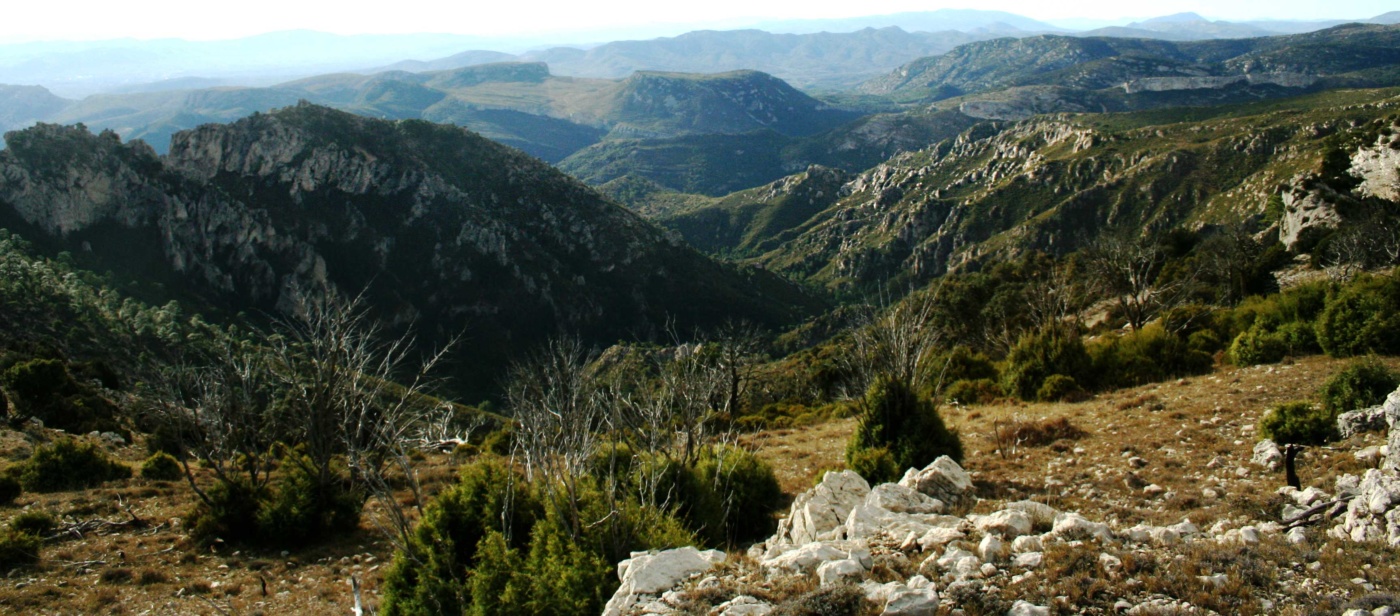 Vadászutak