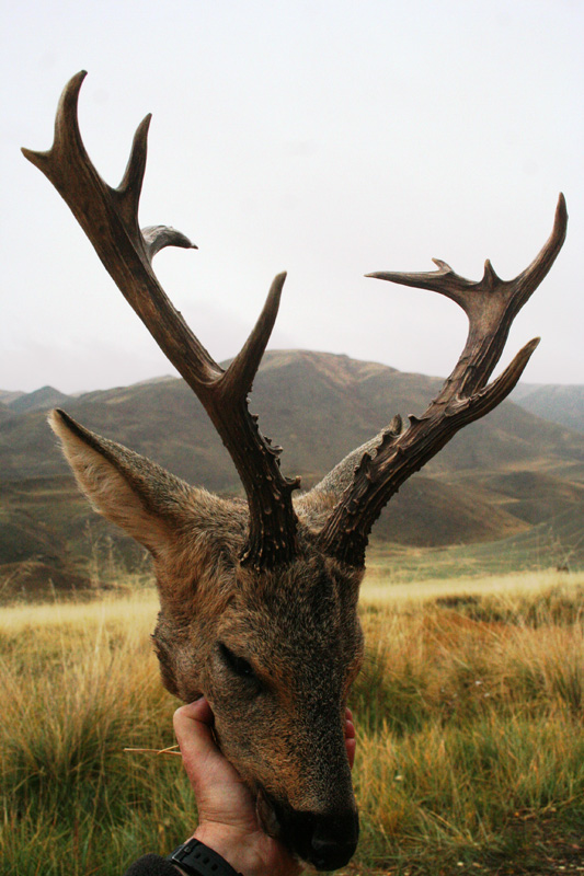 Kazahsztán vadászat