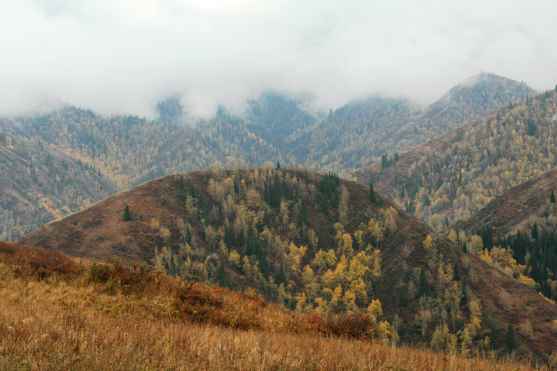 Kazahsztán vadászat