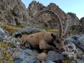 Kazahsztán vadászat