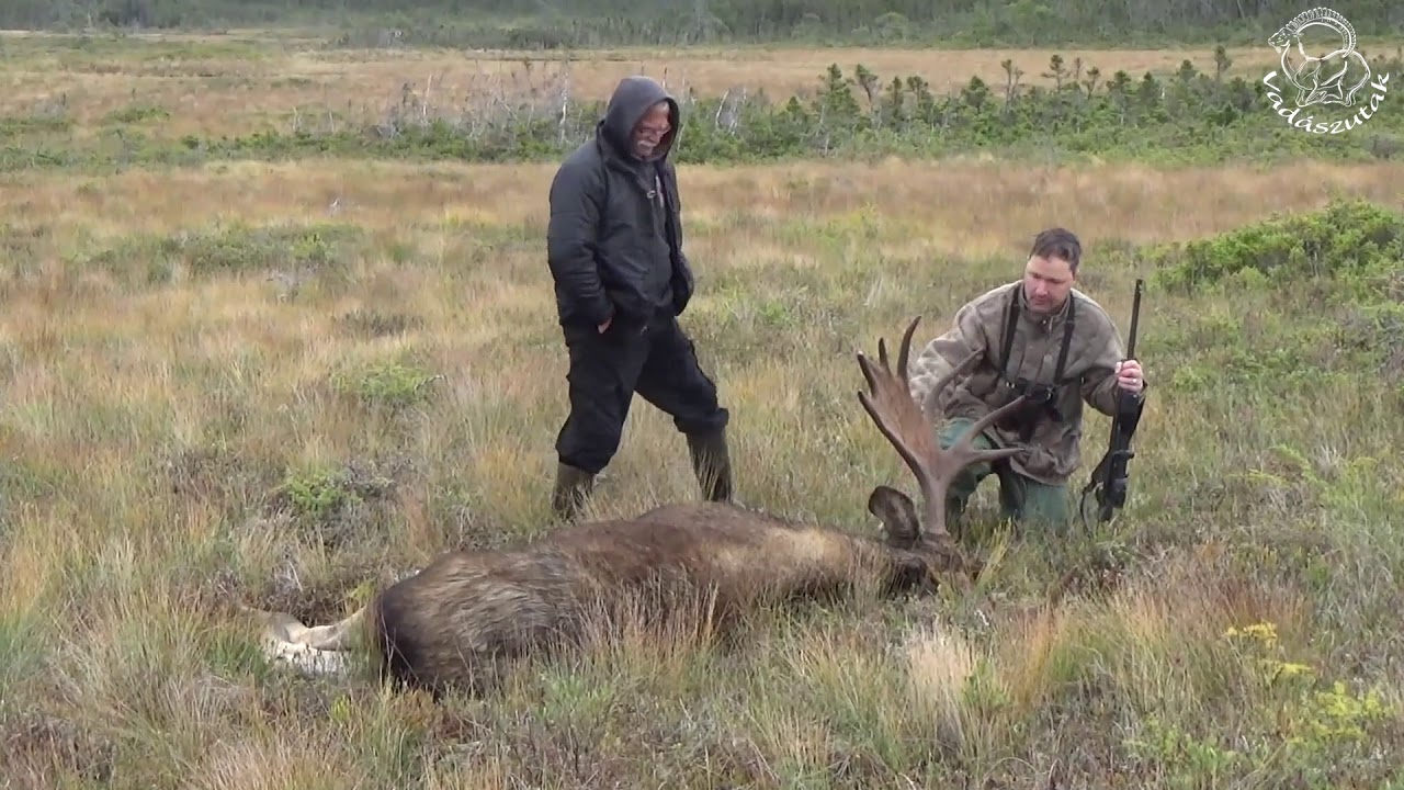 Vadászutak