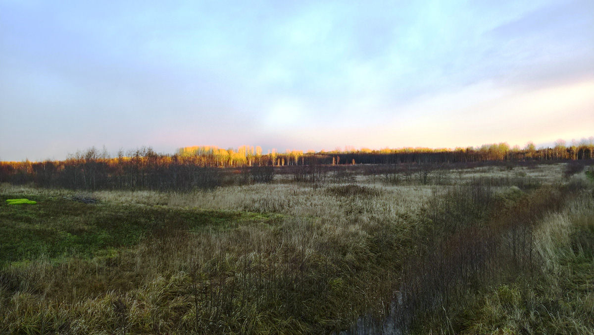 Vadászutak