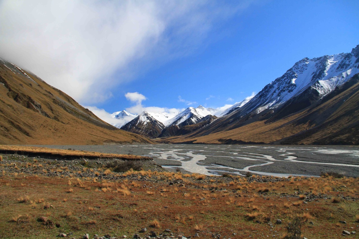 Új-Zéland vadászat