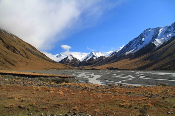 Új-Zéland vadászat