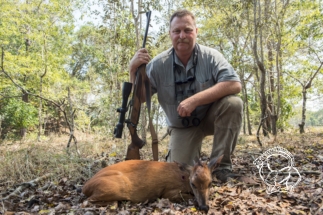 Mozambik kafferbivaly és antilop vadászat