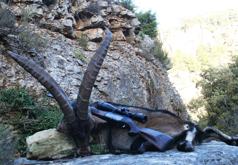 Spanyolország vadászat