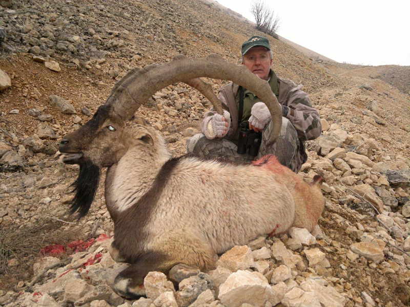 Törökország vadászat