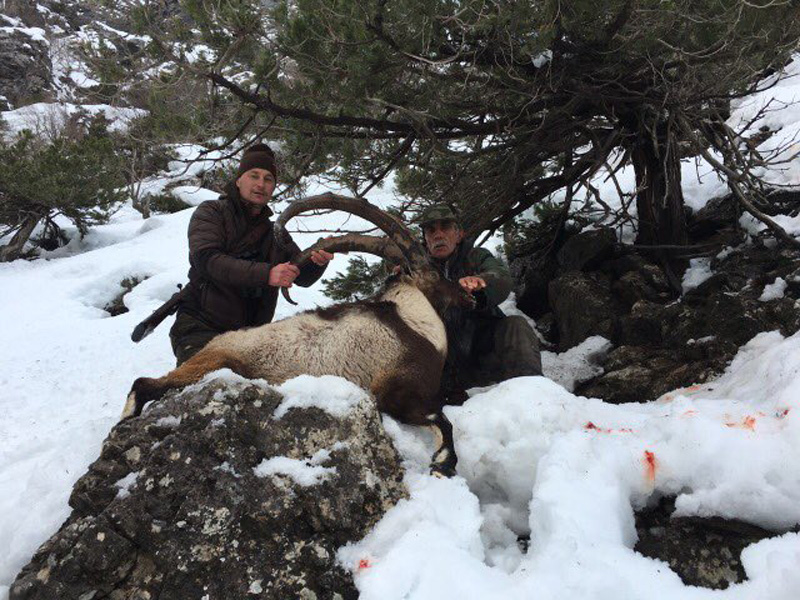 Törökország vadászat