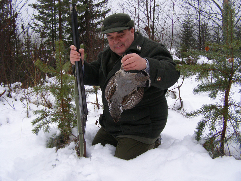 Svédország vadászat, fajdfélék