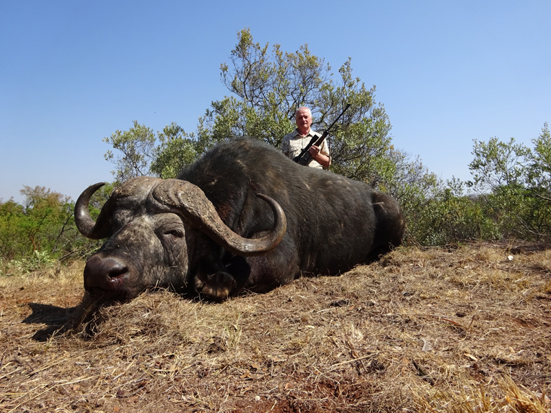Dél-Afrika kafferbivaly vadászat