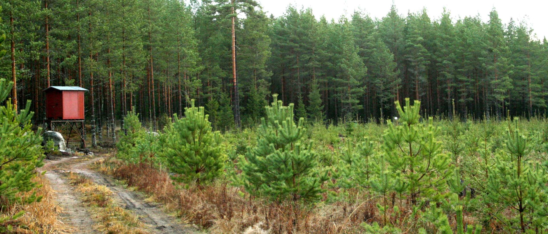 Finnország vadászat