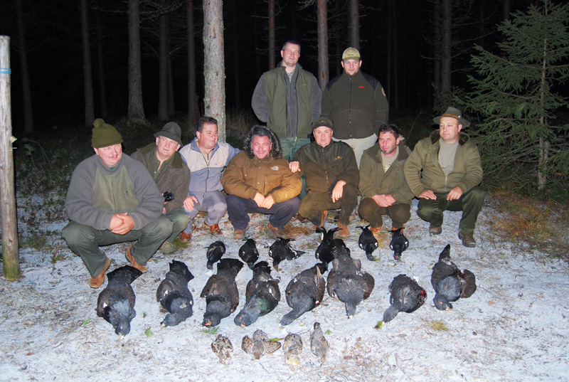 Svédország vadászat, fajdfélék