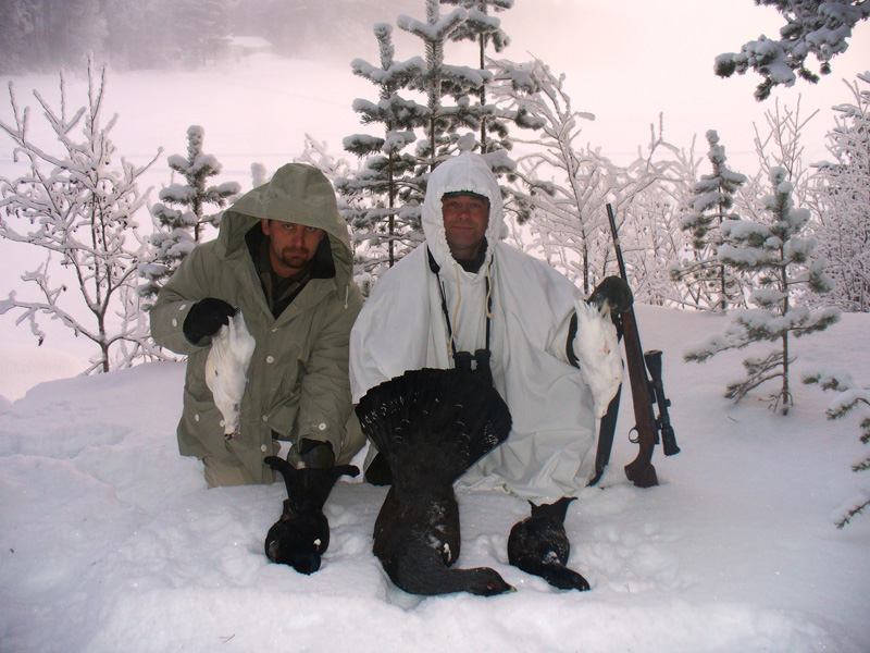 Svédország vadászat, fajdfélék