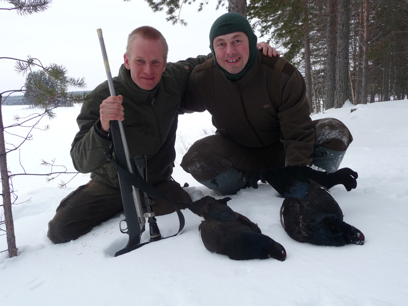Svédország vadászat, fajdfélék