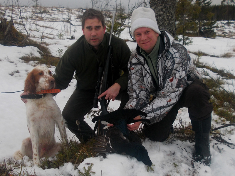 Svédország vadászat, fajdfélék