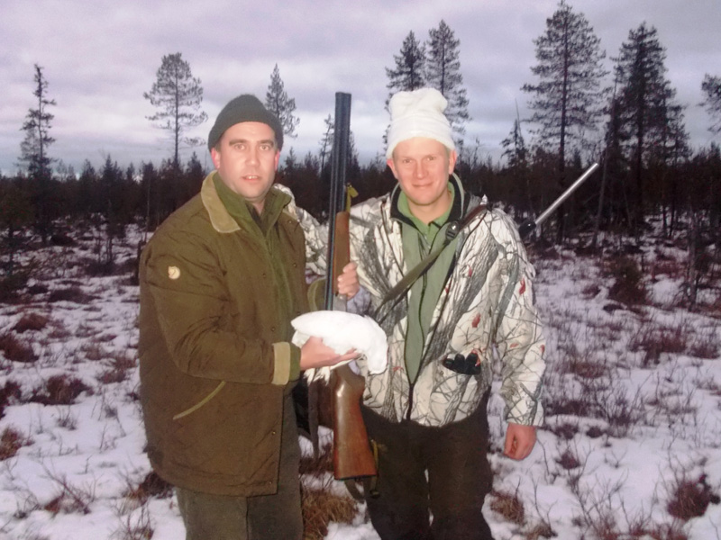 Svédország vadászat, fajdfélék