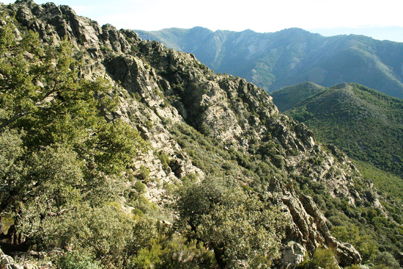 Spanyolország vadászat